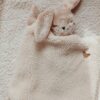 Joe, le lapin