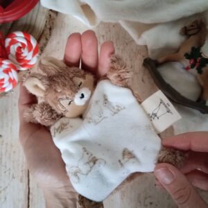 Mini paillette Sam velours féérie