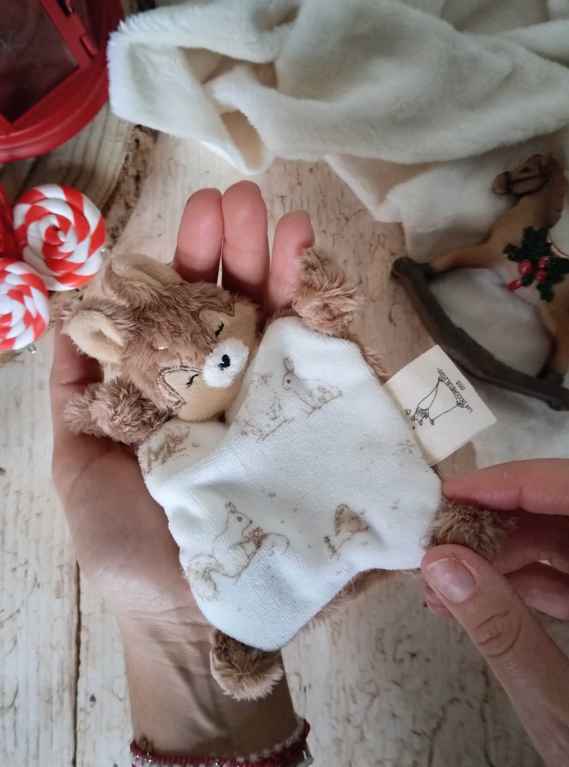 Mini paillette Sam velours féérie