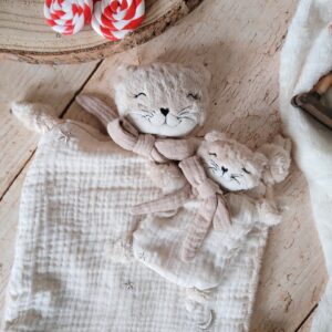 Ollie brodé lune et étoile